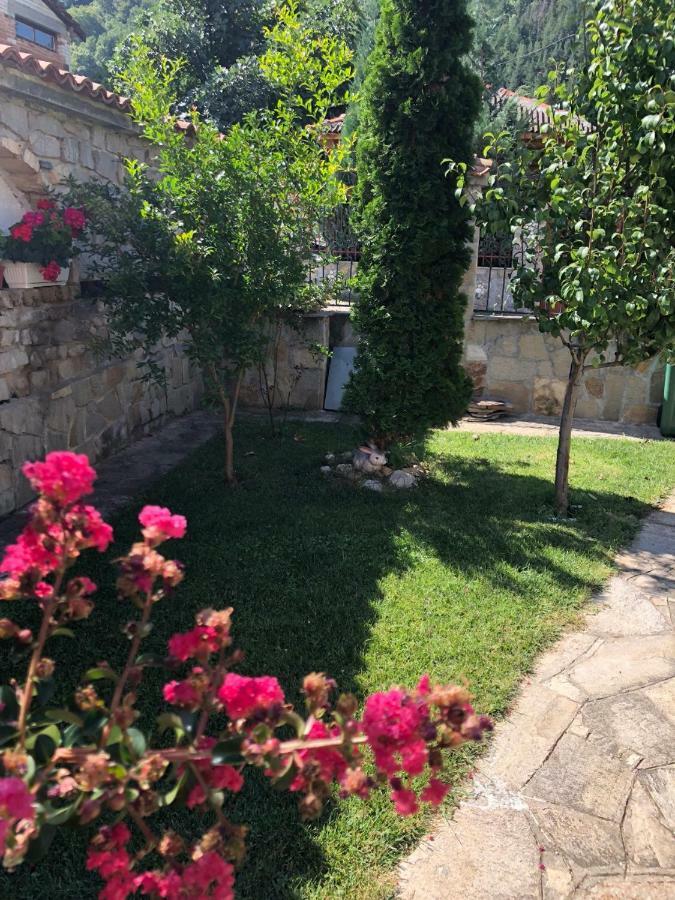 Ambrozia Spa And Relax Family House Bachkovo Buitenkant foto