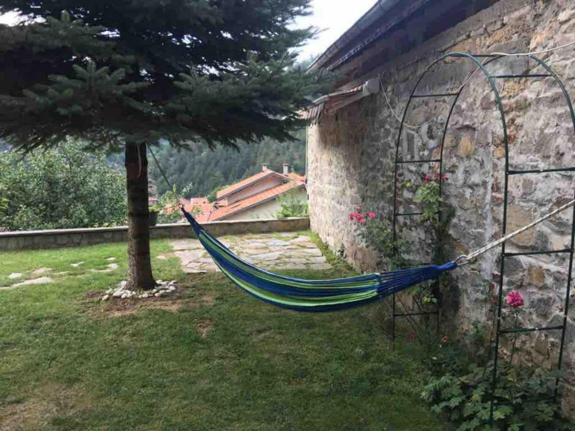 Ambrozia Spa And Relax Family House Bachkovo Buitenkant foto