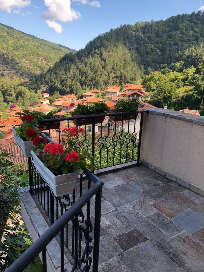 Ambrozia Spa And Relax Family House Bachkovo Buitenkant foto